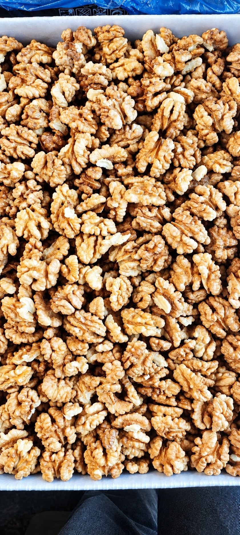 مغز گردو بلغار بار جدید